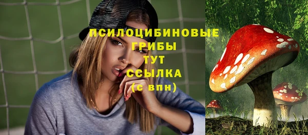 дурь Гусиноозёрск