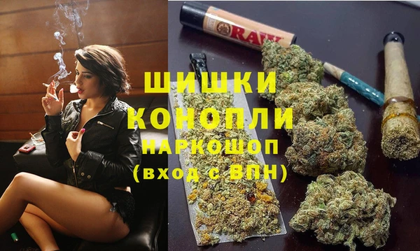 крисы Гусь-Хрустальный